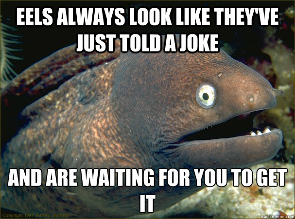 eels always look like they've just told a joke and are waiting for you to get it - eels always look like they've just told a joke and are waiting for you to get it  Bad Joke Eel