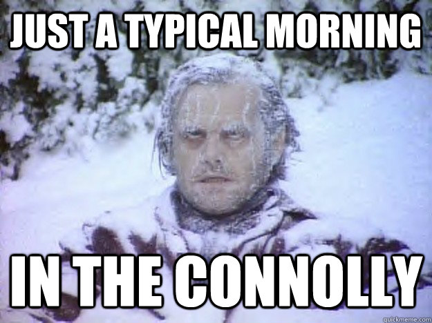 Just a typical morning in the connolly  