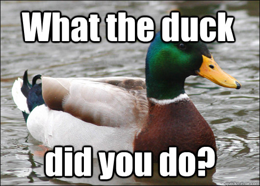 What the duck did you do?  Actual Advice Mallard