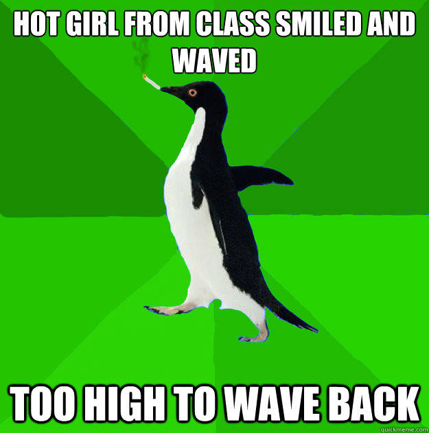 Hot girl from class smiled and waved too high to wave back  Stoner Penguin