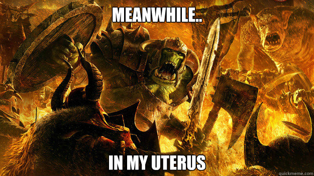 Meanwhile.. in my uterus  