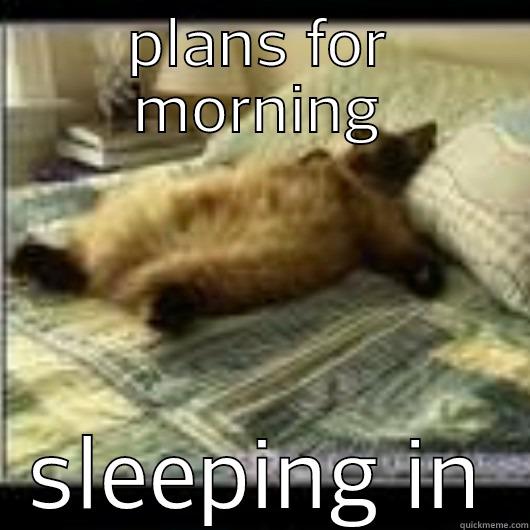 PLANS FOR MORNING SLEEPING IN Misc