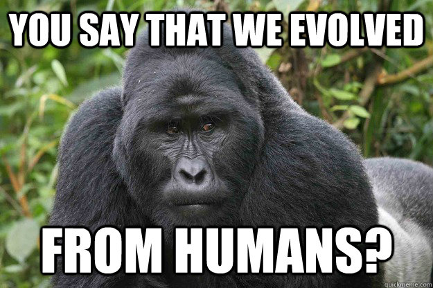 You say that we evolved from humans? - You say that we evolved from humans?  Creationist Gorilla
