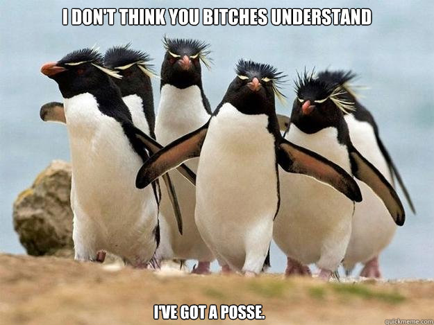 I don't think you bitches understand I've got a posse.  