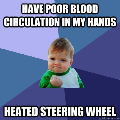 Have Poor blood circulation in my hands Heated Steering Wheel - Have Poor blood circulation in my hands Heated Steering Wheel  Success Kid