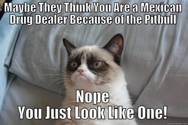 MAYBE THEY THINK YOU ARE A MEXICAN DRUG DEALER BECAUSE OF THE PITBULL NOPE YOU JUST LOOK LIKE ONE! Grumpy Cat