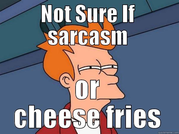 NOT SURE IF SARCASM OR CHEESE FRIES Futurama Fry