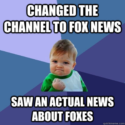 changed the channel to fox news saw an actual news about foxes  Success Kid