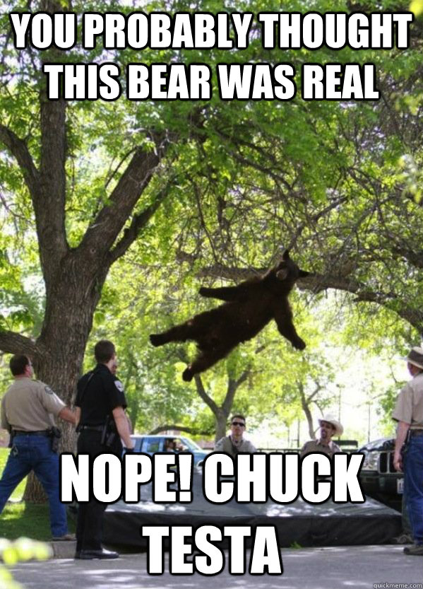 you probably thought this bear was real nope! chuck testa - you probably thought this bear was real nope! chuck testa  i am a falling bear