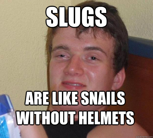 Slugs Are like snails without helmets - Slugs Are like snails without helmets  10 Guy