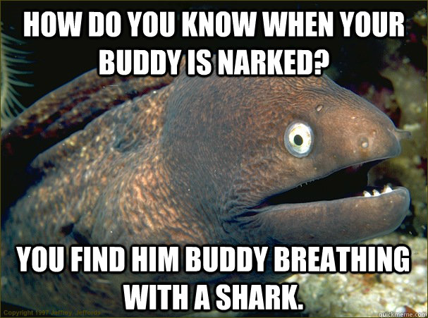 How do you know when your buddy is narked? You find him buddy breathing with a shark. - How do you know when your buddy is narked? You find him buddy breathing with a shark.  Bad Joke Eel
