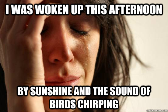 I was woken up this afternoon by sunshine and the sound of birds chirping  First World Problems