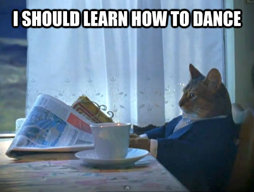 I SHOULD LEARN HOW TO DANCE   The One Percent Cat