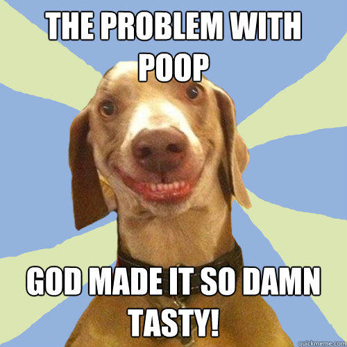 The problem with poop God made it so damn tasty!  Disgusting Doggy