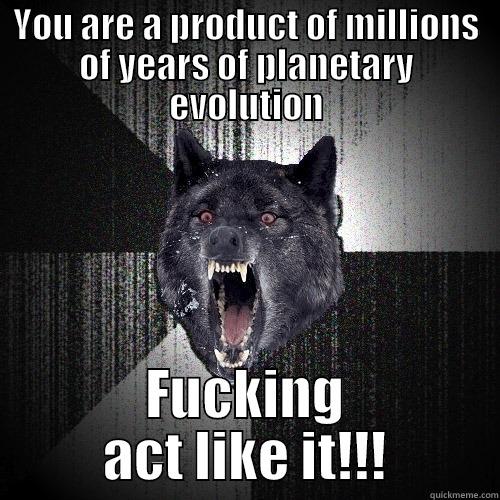 YOU ARE A PRODUCT OF MILLIONS OF YEARS OF PLANETARY EVOLUTION FUCKING ACT LIKE IT!!! Insanity Wolf