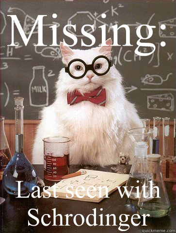 Missing: Last seen with Schrodinger  Science Cat