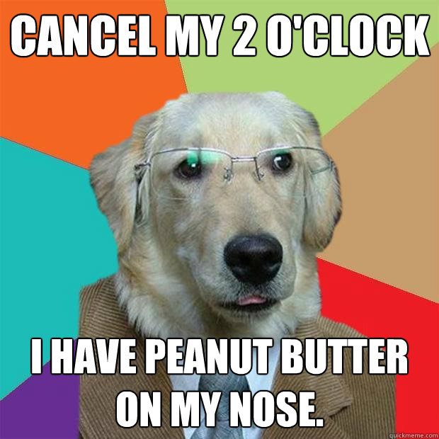 Cancel my 2 O'clock I have peanut butter on my nose.  Business Dog