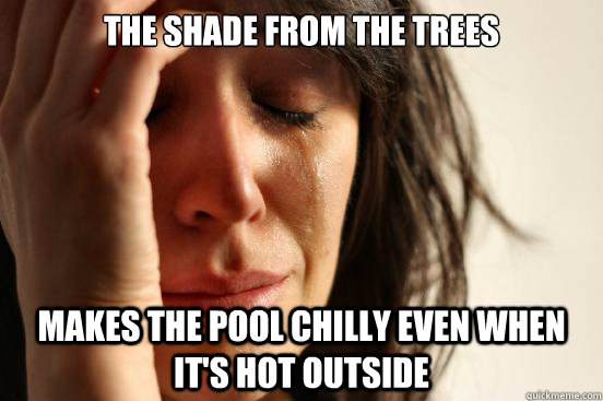 The shade from the trees makes the pool chilly even when it's hot outside   First World Problems