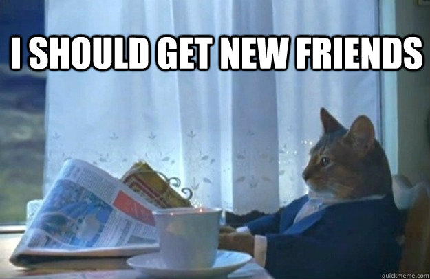 I should get new friends  Sophisticated Cat