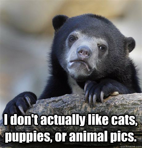  I don't actually like cats, puppies, or animal pics.  Confession Bear