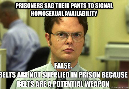 Prisoners sag their pants to signal homosexual availability False.
Belts are not supplied in prison because belts are a potential weapon  Schrute
