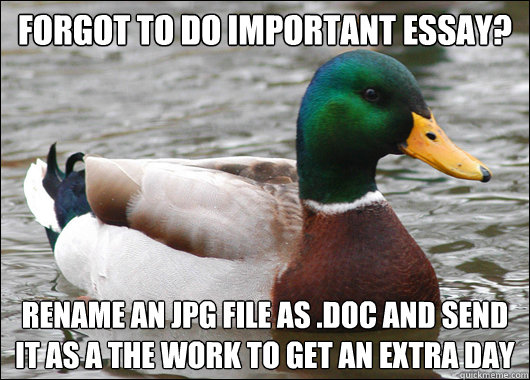 Forgot to do important essay? rename an jpg file as .doc and send it as a the work to get an extra day  Actual Advice Mallard
