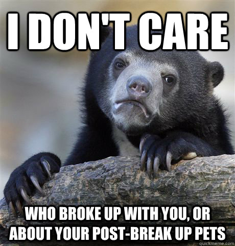 I don't care who broke up with you, or about your post-break up pets  Confession Bear