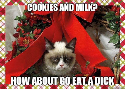 Cookies and milk? How about go eat a dick  A Grumpy Cat Christmas
