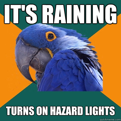 It's raining turns on hazard lights  Paranoid Parrot