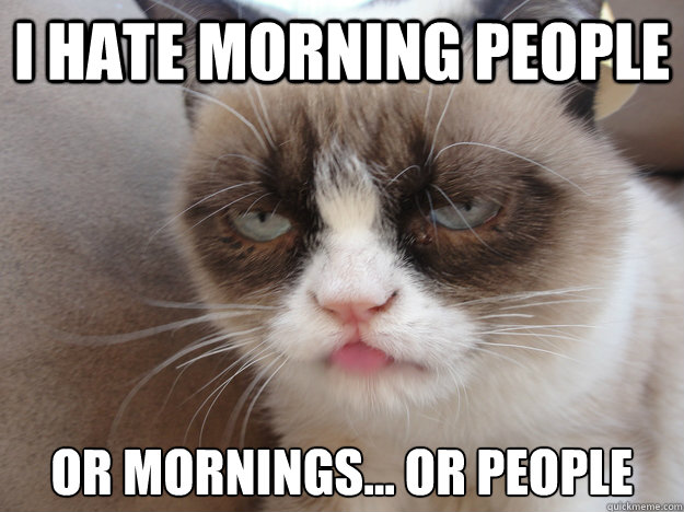 I HATE MORNING PEOPLE OR MORNINGS... OR PEOPLE  i HATE MORNING PEOPLE