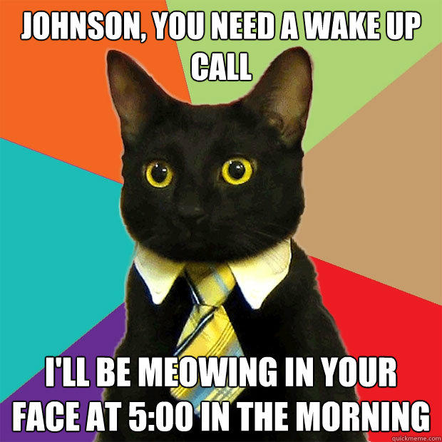 Johnson, you need a wake up call I'll be meowing in your face at 5:00 in the morning - Johnson, you need a wake up call I'll be meowing in your face at 5:00 in the morning  Business Cat