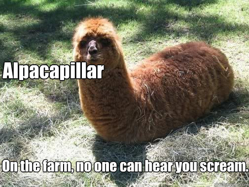 Alpacapillar On the farm, no one can hear you scream. - Alpacapillar On the farm, no one can hear you scream.  Alpacapillar