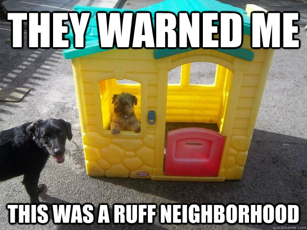 they warned me this was a ruff neighborhood  