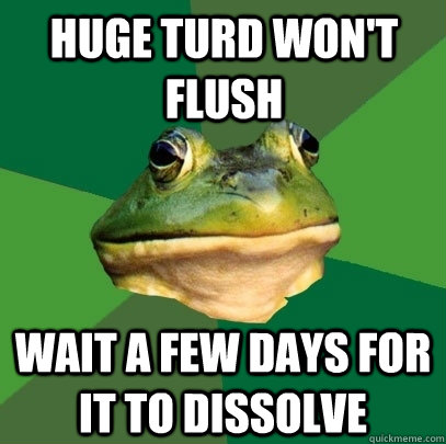 huge turd won't flush wait a few days for it to dissolve  Foul Bachelor Frog