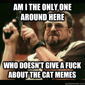 Am i the only one around here Who doesn't give a fuck about the cat memes - Am i the only one around here Who doesn't give a fuck about the cat memes  Misc