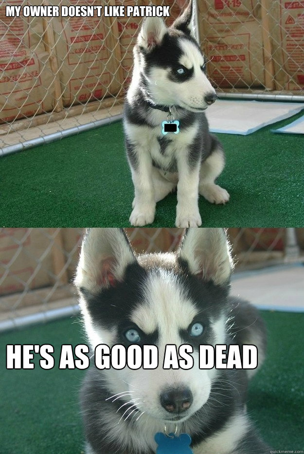 My owner doesn't like Patrick He's as good as dead  Insanity puppy