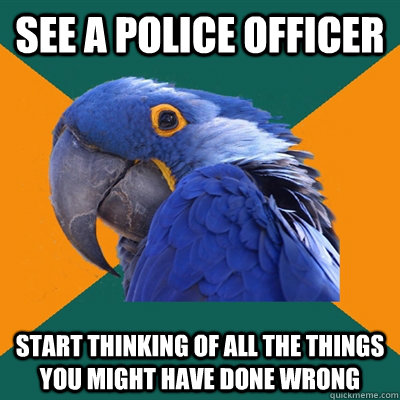 See a police officer start thinking of all the things you might have done wrong - See a police officer start thinking of all the things you might have done wrong  Paranoid Parrot