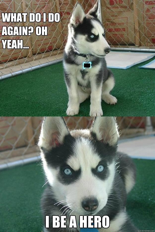 What do I do again? Oh yeah... I be a hero  Insanity puppy