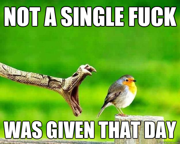 Not a single fuck Was given that day  Badass Bird