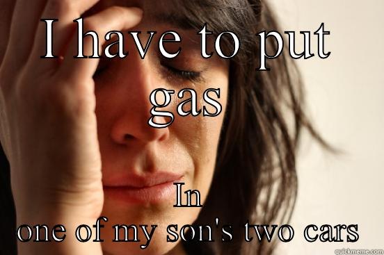 I HAVE TO PUT GAS IN ONE OF MY SON'S TWO CARS First World Problems
