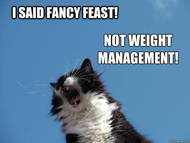 i said fancy feast! not weight
management! - i said fancy feast! not weight
management!  Misc