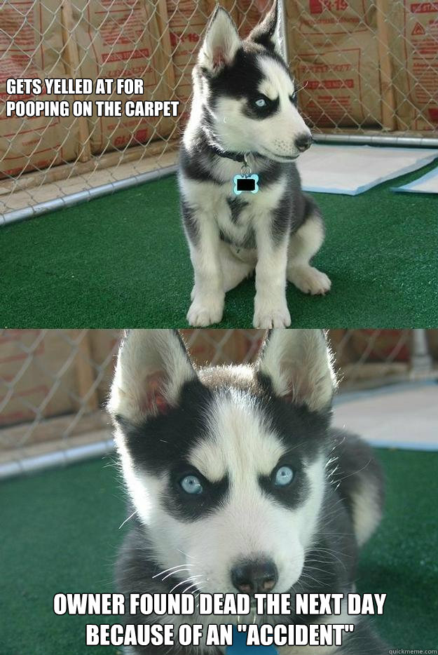 gets yelled at for 
pooping on the carpet owner found dead the next day because of an 