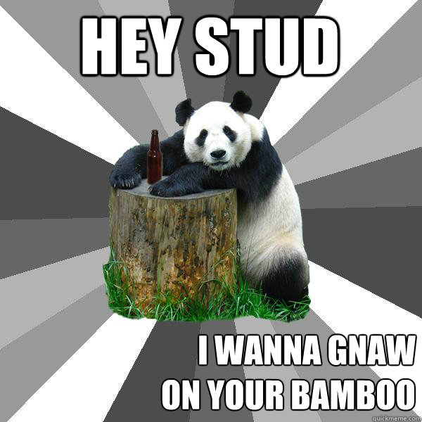 hey stud i wanna gnaw
on your bamboo - hey stud i wanna gnaw
on your bamboo  Pickup-Line Panda