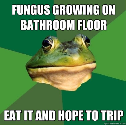 Fungus growing on bathroom floor eat it and hope to trip  Foul Bachelor Frog