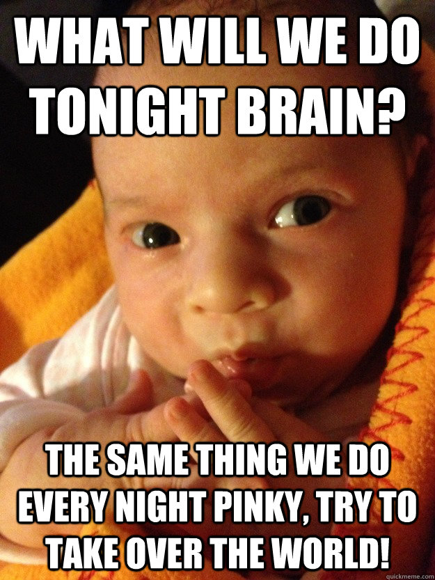 What will we do tonight Brain? The same thing we do every night Pinky, try to take over the world! - What will we do tonight Brain? The same thing we do every night Pinky, try to take over the world!  Misc