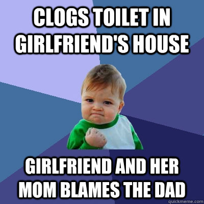 Clogs toilet in girlfriend's house girlfriend and her mom blames the dad  Success Kid