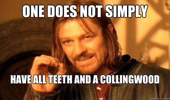 One Does Not Simply have all teeth and a collingwood membership  Boromir