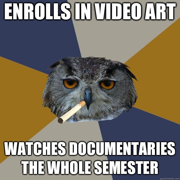 Enrolls in video art Watches documentaries the whole semester   Art Student Owl