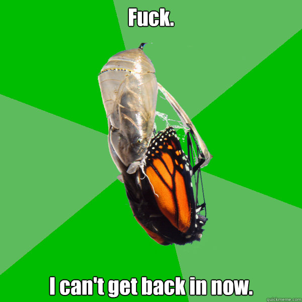 Fuck. I can't get back in now. - Fuck. I can't get back in now.  Transitional Atheist Butterfly