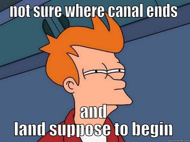 NOT SURE WHERE CANAL ENDS AND LAND SUPPOSE TO BEGIN Futurama Fry